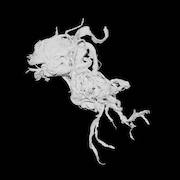 Light Damage: Light Damage