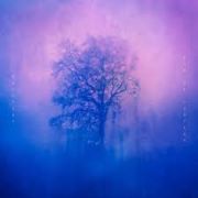 Wallners: End Of Circles