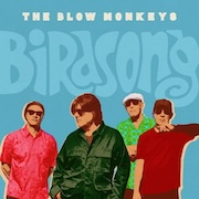 The Blow Monkeys: Birdsong